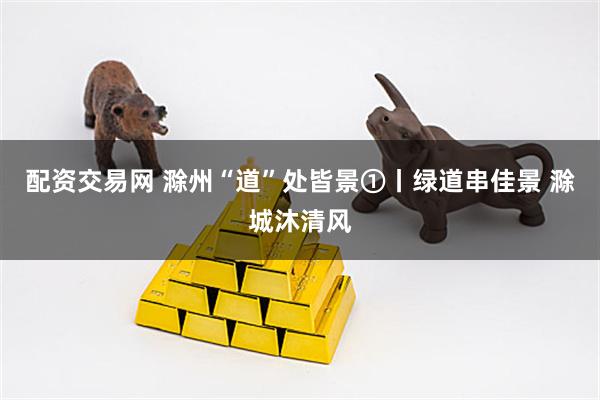 配资交易网 滁州“道”处皆景①丨绿道串佳景 滁城沐清风